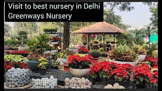 Visit to best nursery in DelhiNCRGreenways NurseryDera RoadFatehpur BeriReasonable rates [upl. by Nuahsad]