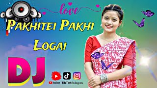 Pakhitei Pakhi Logai Assamese Old Dj Remix Song Hard Vibration Mix [upl. by Nagorb179]