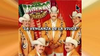 LOS LIGEROS DE ZACATECAS MIX 10 EXITOS PEGADITOS [upl. by Kiernan]