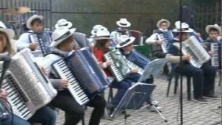 Le Fisarmoniche del Monviso alla Festa della Castagna 2011 a BrondelloCN [upl. by Htebzil116]