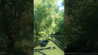 Enjoying the greenery while creek kayaking [upl. by Louis]