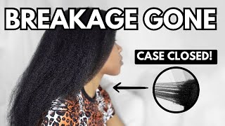 How to STOP BREAKAGE  Solutions  Understanding Breakage vs Shedding  Natural Hair [upl. by Rimaj]