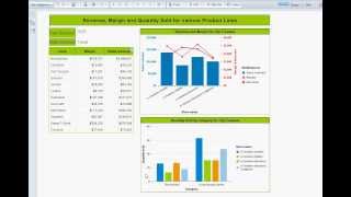 WEBI InteractiveReport Demo [upl. by Porche]