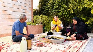 Making pickled eggplant with pomegranate paste  Real village life [upl. by Isolda401]