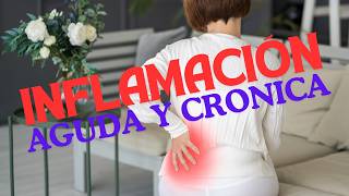 INFLAMACION AGUDA Y CRONICA APRENDE SOBRE ELLAS [upl. by Ytitsahc]