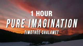 1 HOUR Timothée Chalamet  Pure Imagination Lyrics from Wonka [upl. by Abie903]