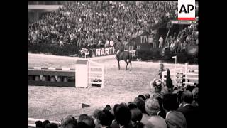 HORSE JUMPING  NO SOUND [upl. by Johannessen761]