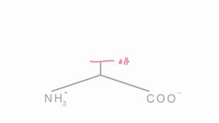 Memorize the 20 amino acids in 20 minutes Part 1 [upl. by Initsed]