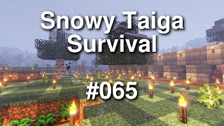 Minecraft Snowy Taiga Survival  065 [upl. by Bertilla]