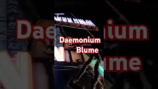 Daemonium Blume [upl. by Dilks]