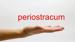 How to Pronounce periostracum  American English [upl. by Anipsed423]