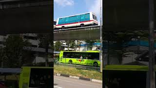 GOODBYE REPPY SMRT C801 V116V117 near BP4 Teck Whye smrt lrt reppy [upl. by Marilla]