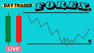 DAY TRADE GANHANDO EM DÓLAR LIVE FOREX 14 022024Carlinhos01Trader [upl. by Eelymmij310]