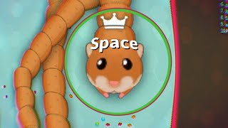 New Skin Hamster SnakeIo Gameplay Version Mobile [upl. by Etteniotna431]