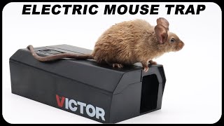 Works Shockingly Well  The Newly Redesigned VICTOR Electronic Mouse Trap Is Great Mousetrap Monday [upl. by Milano93]