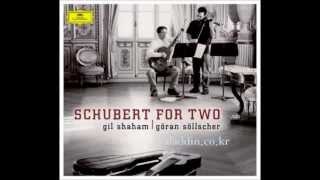 Schubert SerenadeStandchen D957 [upl. by Eustis]