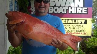 Catch gallery Coral Trout 4kg caught at Mooloolaba Blinker offshore 26102011 [upl. by Torruella]