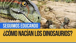 ¿Cómo nacían los dinosaurios  Seguimos Educando [upl. by Berriman]