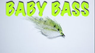 BABY BASS [upl. by Hadeehsar]