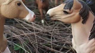 Wild Love  Part 1  Schleich Horse Movie [upl. by Esmerelda]