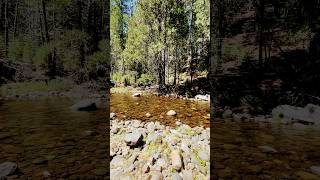 Dispersed Camping by a river at Stanislaus National Forest [upl. by Polash818]