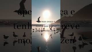 Momento Zen na Praia com Gaivotas [upl. by Boyce]