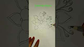 Flower easy Pencil Drawing 💯💫🌟💮🌸🙏 [upl. by Ardenia]