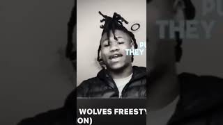 LilMj  wolves freestyle on shit video undrgrnd rap music [upl. by Fransis]