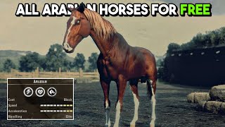 All 5 SECRET Arabian Horses Location for FREE in Red Dead Redemption 2 [upl. by Brodsky]