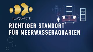 Der richtige Standort für dein Meerwassersaquarium [upl. by Lesig193]