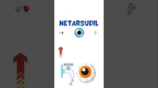 Netarsudil Made Easy neetpg mbbs eyes new [upl. by Assetnoc]