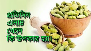 Pratidin elach khele ki upokar hoy Elaich Benefits in Bangla [upl. by Aivilys]