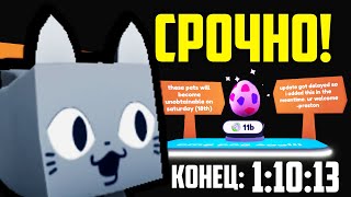 СЕКРЕТНЫЙ Способ Как Получить Pog Cat в Пет Симулятор Х  Pet Simulator X [upl. by Christiana]