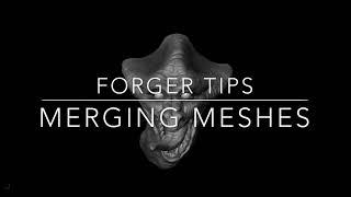 Forger Tips Merging Meshes [upl. by Ary]