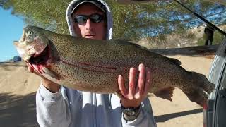 Big Bear Lake CA Trout FishingCookingMountain Snow bigbear [upl. by Noxas139]