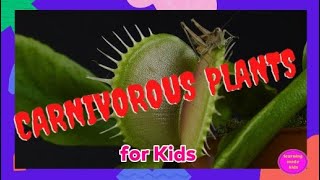 Carnivorous Plants for Kids  Are they Dangerous to Humans  Educational Video for Kids [upl. by Asilanom]