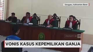 Vonis Fidelis Ari Pemilik Tanaman Ganja Untuk Pengobatan Istrinya [upl. by Proud]