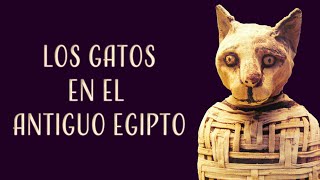 Así adoraban los antiguos egipcios a los gatos [upl. by Allyn]