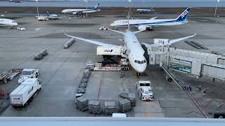 Tokyo Haneda Airport Beladung eines ANA Airlines Passagierflugzeugs [upl. by Publia]