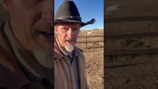 Wyoming weather changes quick shortsvideo wyoming [upl. by Yrod]