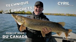 ÉNORMES BROCHETS dans le nord du Canada  Part 12 [upl. by Adaven]