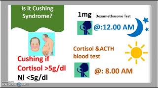 Dexamethasone suppression test Cushings Syndrome Vs Cushings Disease High dose Vs LowDose 3 mn [upl. by Olenta]