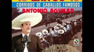 Antonio Aguilar El Caballo Joverowmv [upl. by Nellahs]