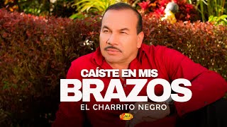 El Charrito Negro  Caíste En Mis Brazos  Música Popular colombiana [upl. by Fidelio682]