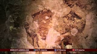 Ancient Indonesian cave paintings determined to be oldest outside Europe [upl. by Trevethick805]