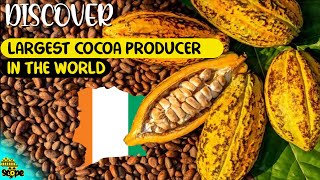 Discover Ivory Coast largest cocoa producer in the world [upl. by Sheaff]