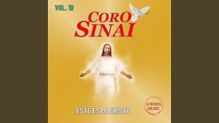 Ritmo de Sinai [upl. by Ttereve]