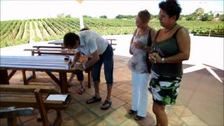 Cliff Richard at Adega do Cantor for a prearranged Meet amp Greet with fans 14 July 2011 [upl. by Obadiah]