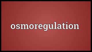 Osmoregulation Meaning [upl. by Ivett]