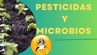 EFECTO DE PESTICIDAS EN LA MICROBIOLOGÍA DEL SUELO [upl. by Jdavie]